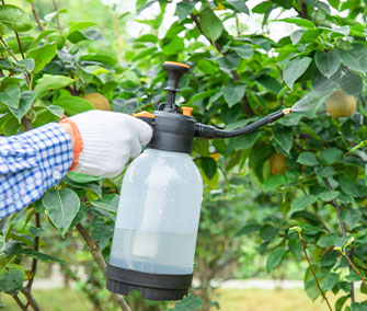 Pesticide PET Bottles